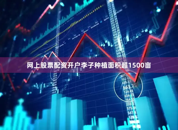 网上股票配资开户李子种植面积超1500亩
