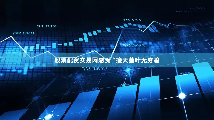 股票配资交易网感受“接天莲叶无穷碧