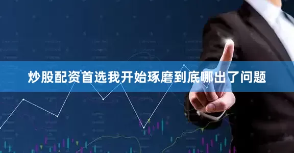 炒股配资首选我开始琢磨到底哪出了问题