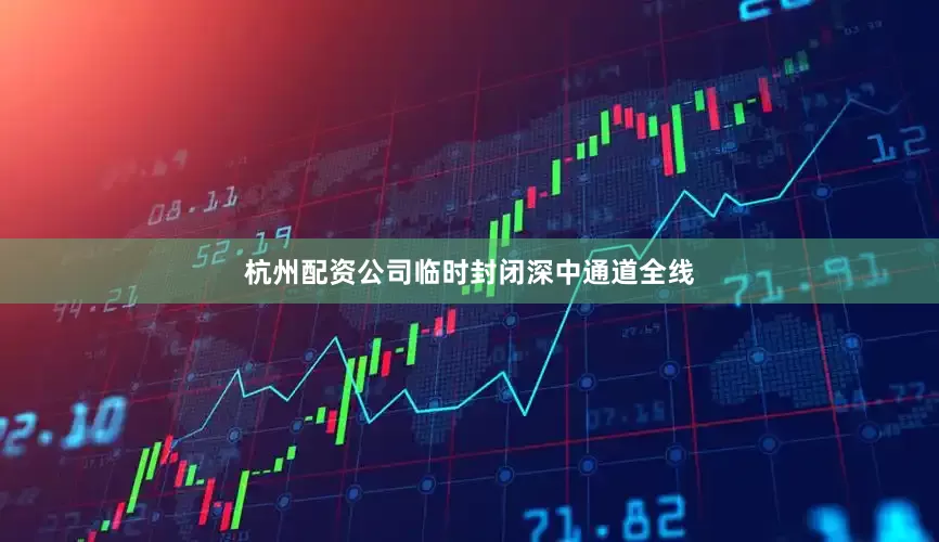 杭州配资公司临时封闭深中通道全线