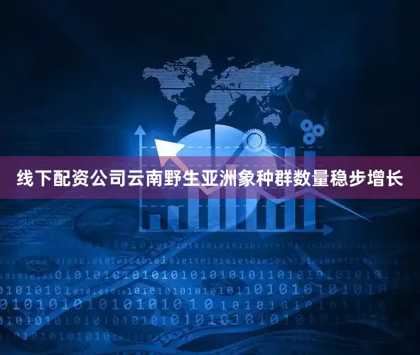线下配资公司云南野生亚洲象种群数量稳步增长